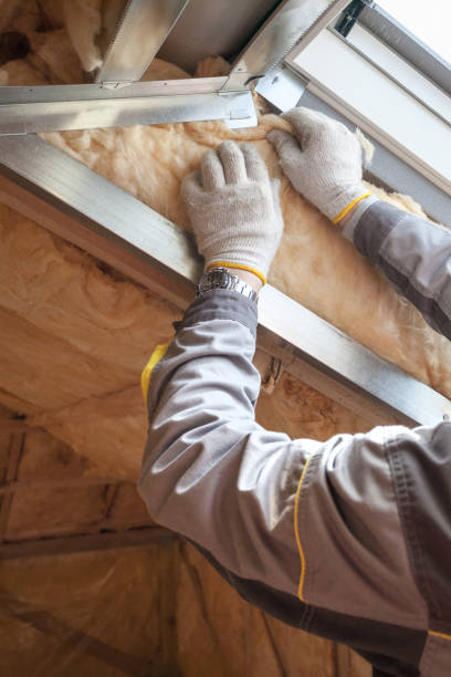 Types of Insulation We Offer in Angels, CA